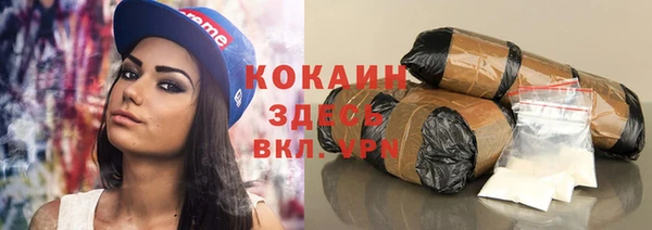 ALPHA PVP Каменка
