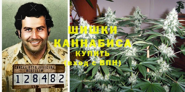 мескалин Касимов