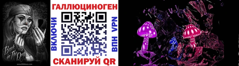 Купить  Гдов  Псилоцибиновые грибы Psilocybine cubensis 